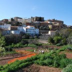 La Historia de la Ciudad de Cáceres en los márgenes de la Ribera del Marco