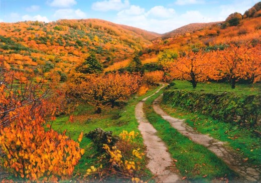 Otoñada Valle del Jerte