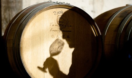 p52-59_ZB_Bod_Psp_Toribio-23