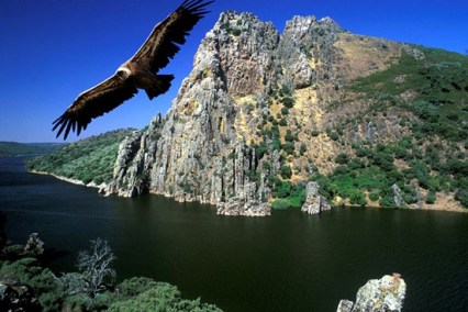 620466077c427f141effa294382f5fba_XL