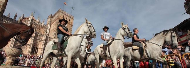 A12-447697331--647x231