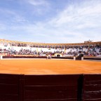 La Feria del Toro en Olivenza. Comienzos de Marzo. Fiesta de Interés Turístico Regional
