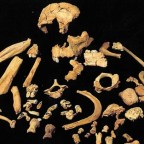 El Canibalismo en la Edad del Bronce