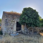 Molino de la Charca del Lancho (Arroyo de la Luz)