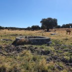 Pozo de Las Matanzas (Arroyo de la Luz)