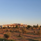 Casa de “Los Arenales” o Casa de las Cigüeñas (Cáceres)