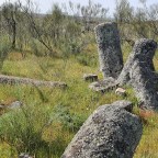 Un breve acercamiento arqueológico a la Vía de la Plata a través de sus miliarios